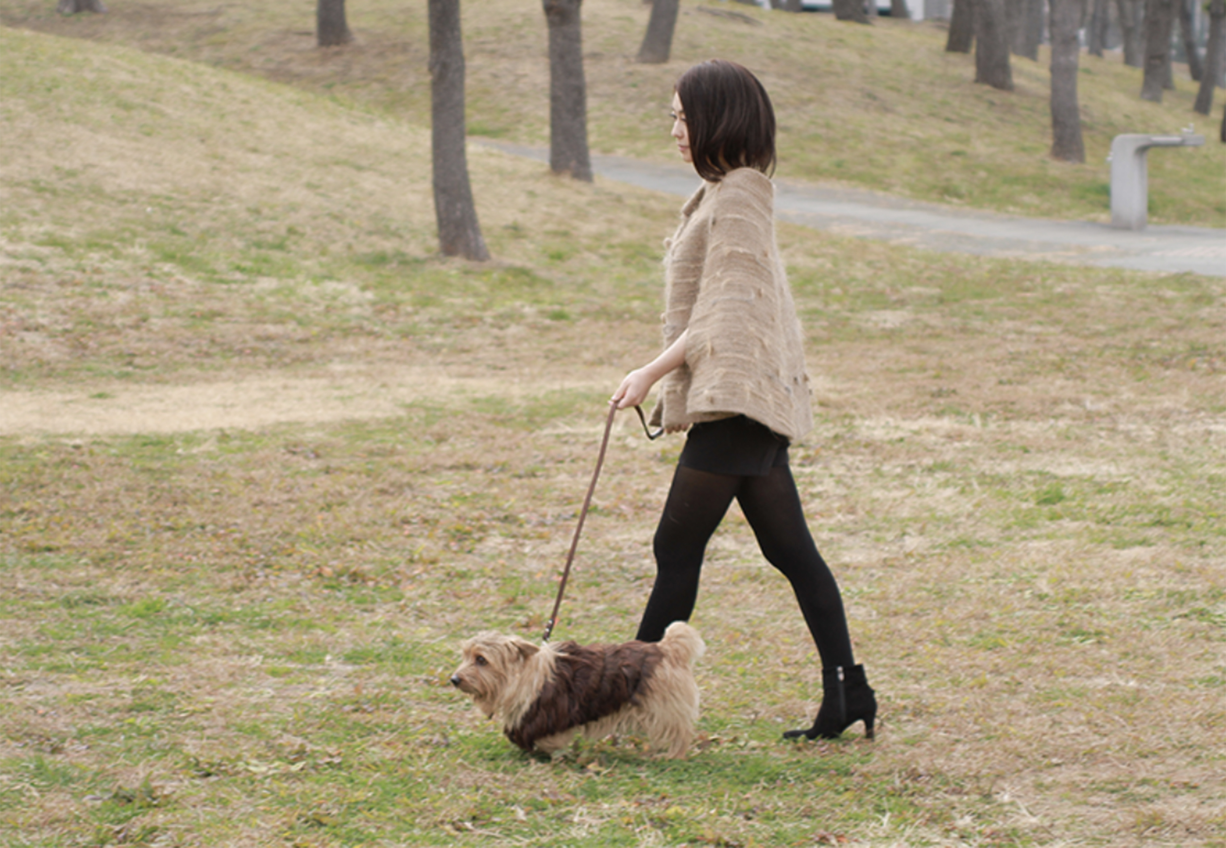 I Wear the Dog's Hair, and the Dog Wears My Hair